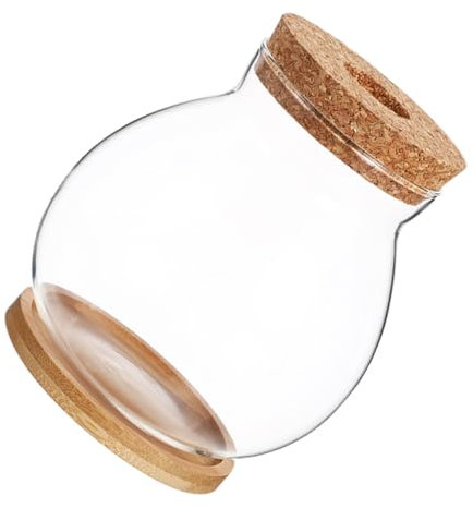 JOINPAYA Vaso di idroponico Vaso per piante desktop Container Terrarium stazione di propagazione delle piante vaso da piantare da tavolo pentola di bambù Trasparente