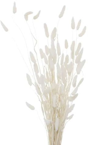 Boltze Home Deko-Zweige für Vase, getrocknet, 70 cm, Farbe:weiß