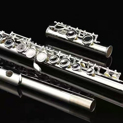 Querflöte Instrument Standard-C-Flöte Für Anfänger Vernickelt Und Versilbert 16 Geschlossene Löcher Anfängermodelle(Nickel)