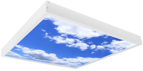 G.W.S® Sky Cloud Pattern Ceiling Light, Surface Mounted 3CCT 595mmx595mm (2'x2') Square LED Panel Light, Pack of 1