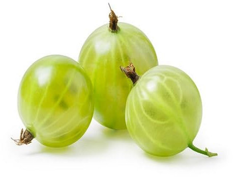 90 graines de groseille à maquereau vertes