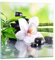 ARTTOR Vidrios decorativos flor orquídea Cuadro Sobre Vidrio Moderno 30x30cm Decoracion Salon Dormitorio Cocina Cuadros Pared Impresiones Impresión en Cristal Wall Art Prints Decor GAC30x30-3659