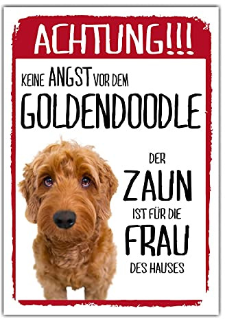 Goldendoodle Dog Schild Achtung Zaun Frau Spruch Türschild Hundeschild Warnschild Geschenkidee lustiger Spruch Hundemotiv Aluminium Wetterfestes Hundeschild