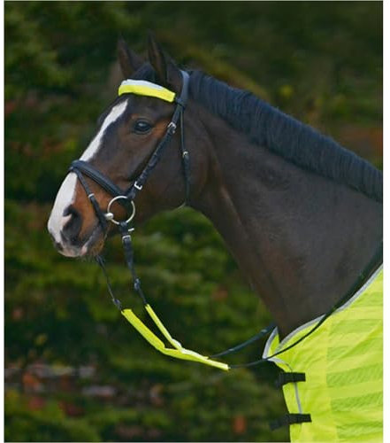 Marengos – Trensenzaum-Set Reflex (3-teilig) – stark reflektierende Bezüge für Trensenzaum & Zügel – Sichtbarkeit von Pferd & Reiter im Dunkeln – einfach zu befestigen – Neongelb