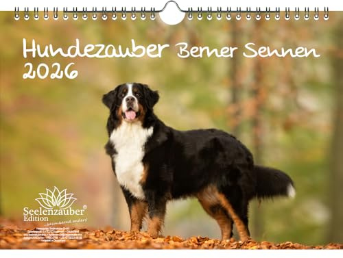Dog magi Berner Sennen DIN A4 kalender för 2026 valpar och hundar – själsmagi