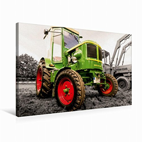 CALVENDO Toile Murale décorative en Tissu de qualité supérieure 75 x 50 cm