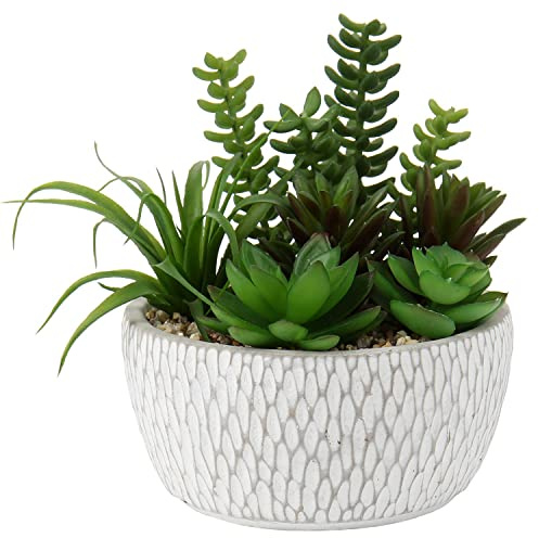 Briful Pequeñas Plantas Falsas Surtidas en macetas, suculentas realistas Artificiales con macetas de Cemento para el hogar, Mesa, Oficina, Escritorio, baño, Estante, Sala de Estar