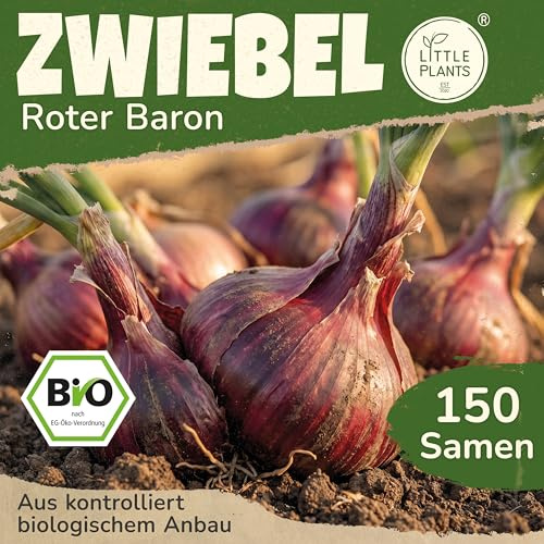 Little Plants BIO Zwiebel Samen 150 Zwiebelsamen Roter Baron Gemüsesamen Samenfest für Gemüsegarten Gemüse Samen Hochbeet Samen für Küche, Balkon und Garten