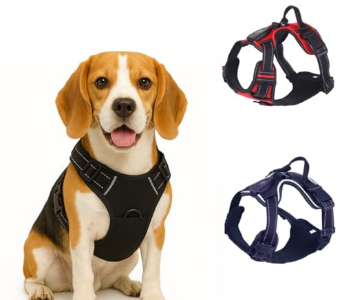 Pinkrrot. Pettorina per cani. Imbracatura riflettente, luminosa con luce a LED ricaricabile USB-C, anti-tiraggio, regolabile, impermeabile ed ergonomico, ideale per passeggiate sicure di giorno e