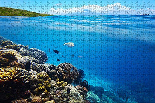 LHJOY geduldsspiel für Erwachsene 3D Puzzle 1000 Teile Fisch unter Wasser Weltkorallenhimmel Wolkentier Geburtstagsgeschenk 75x50cm