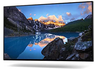 Dell UltraSharp 24 Monitor - U2422H ohne Standfuss