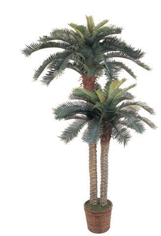 Nearly Natural 6FT & 4FT Artificial Sago Palm Trees Double Potted, Fake Palm Trees with Two Realistic Trunks and 80 Lifelike Palm Leaves in 10IN Brown Wicker Basket for Indoor Home Décor