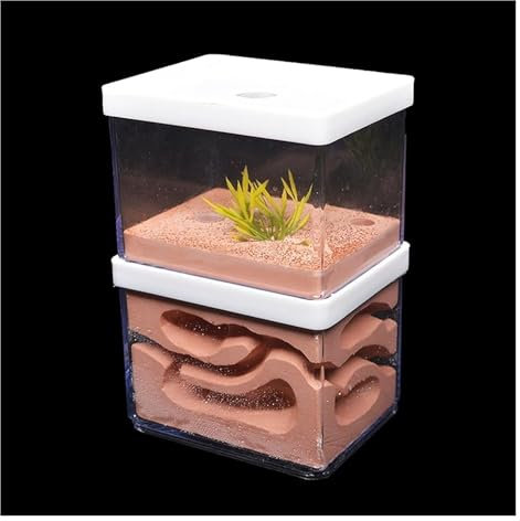 Ameisennest Ameisenfarm Ameisenhaus Gips Ameisenfarm Natürliches Ökologisches Großes Ameisennest Insektenburg Werkstatt Haustier Ameisenhaufen Ameisenhaus Ameisen Terrarium Ameisen Zucht Box(16cm)
