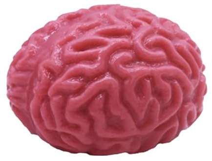 Gehirnform Stressball - Halloween Gehirn Spielzeug | Gefälschte Gehirn Stressbälle Soft Gel Fake Organ Halloween Party Zubehör Stressabbau Handübung Stressball für lange Zeit Verwendung