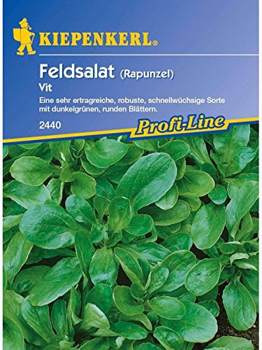 Kiepenkerl Feldsalat Vit