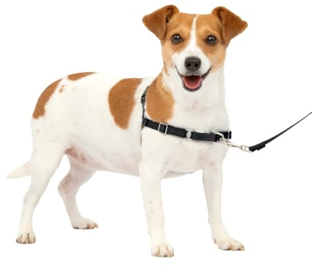 PetSafe Easy Walk-porslin, anti-drag-hundsele, minskar kvävning och hosta, med 1,8 m koppel, storlek S, svart