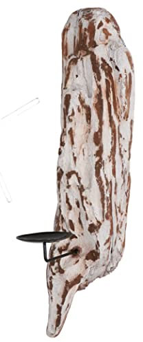 GURU SHOP Treibholz Kerzenhalter Wand, Beige, 30x10x8 cm