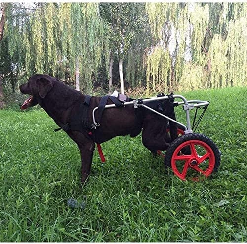 2 Räder Hunderäder Verstellbarer Hundehaustierrollstuhl Haustierkatze Hunderollstuhl Hundefahrradanhänger Weich Bequem Für die Rehabilitation der Hinterbeine (XL)