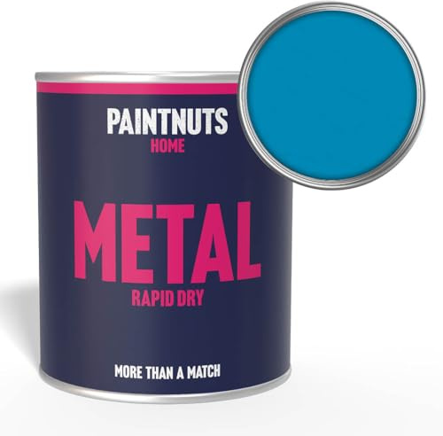 Paintnuts Light Blue (RAL-5012) Rapid Dry Metal Paint, Gloss Finish 250ml