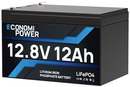 EconomiPower Lifepo4 Batterie au lithium Lifepo4 12 V 12 Ah à cycle profond 5000 cycles + BMS intégré, batterie lithium-ion 12 V pour solaire, marine, détecteur de poissons, jouet de redressement