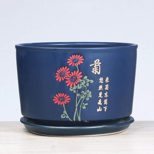 PUFAHAU Pot de Fleurs en céramique pour bonsaï, conteneur pour Cactus, jardinière, Balcon, décoration de Table, Ornements artisanaux, intérieur, créatif, charnu, Vert, Plante, bu(D-X-Large)