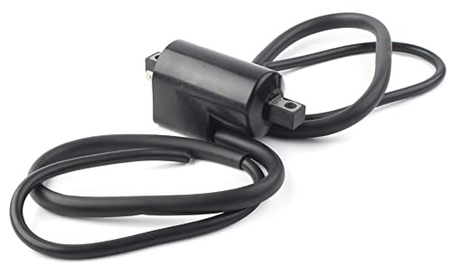 FSFYUK Motorrad 12 Volt 1 Satz Zündspule WForwire Für GSXR750For1100 GS1150 GV Madura 700For1200 GSM650 GSG1100 GSEF/EG/ES 1150 GSE/ES 750 GST/S 750 GSG/GL 650