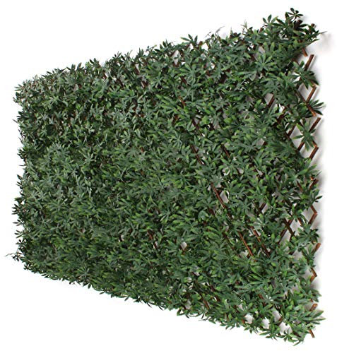 3rd Street Inn™ Leaf Trellis - Bamboo Greenery Panel - Boxwood and Ivy Privacy Fence Substitute - DIY Flexible Fencing (1, Cannabis)