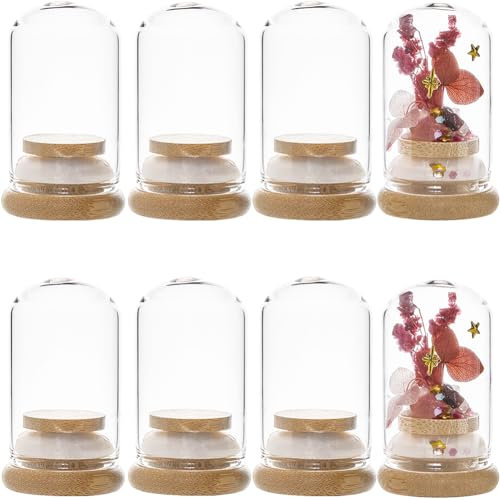 SUNNYCLUE 10 pz Cupola con Display In Vetro 30x50mm Mini Cupola A Cloche 22 ml Barattoli di Vetro Bottiglie con Base In Bambù Barattoli di Bottiglie di Vetro Campana di Vetro Cloche per Fiori Liquid S