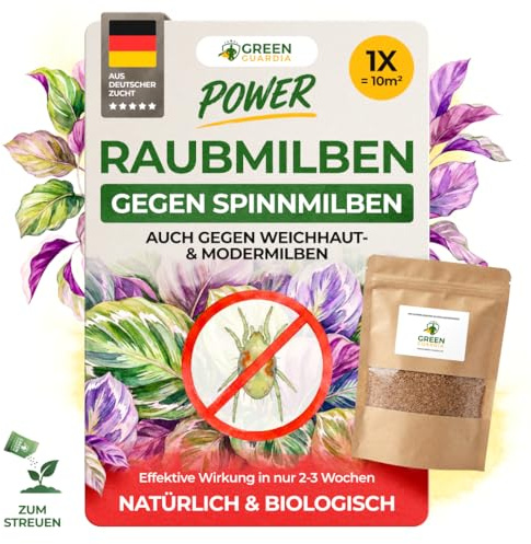 GREEN GUARDIA Power Raubmilben gegen Spinnmilben –Streuware mit 1x Tüten für 10m² - Biologisches Mittel zur effektiven Thripse Bekämpfung für Zimmer- & Zierpflanzen uvm. - chemiefrei