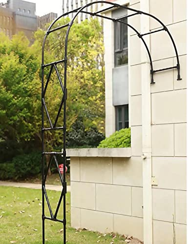 Arche de rose élégante en métal pour décoration de jardin en plein air, demi-arche de jardin pour plantes grimpantes et support d'arbre, noir, 120 x 240 cm, treillis de jardin élégant pour la