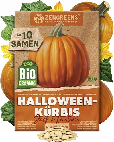 ZenGreens® - Bio Halloween-Kürbis Samen (Jack o'Lantern) - Halloween-Kürbissamen - Gemüsesamen für den einfachen Anbau im Garten, Balkon oder Hochbeet - Saatgut - Deko-Kürbis