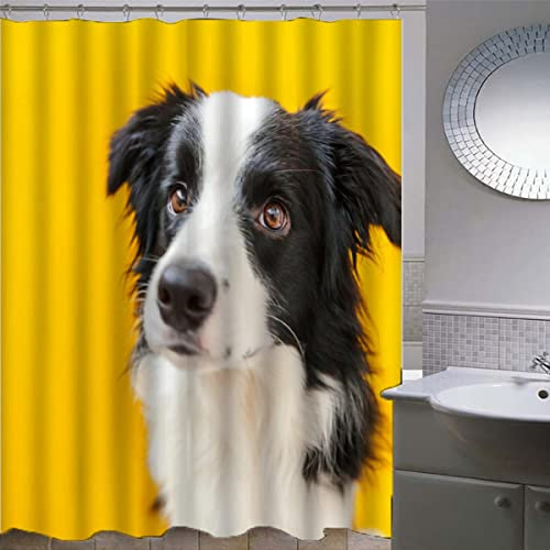 ZLKEJI Shower Curtain 180x180 cm Shower Curtain Bird Collie animal, yellow 3D Shower Curtains for Bathroom with 12 Hooks Washable Quick-Drying Curtains for Bathroom Kitchen