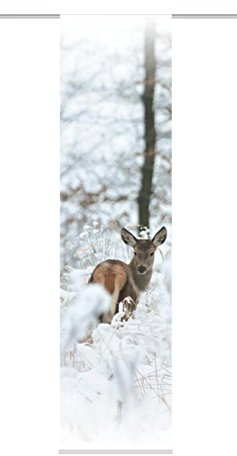 Home fashion Schiebewand, Stoff, Natur, 245 x 60 cm