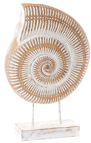 Amadeus - Coquillage sur Socle 48 cm