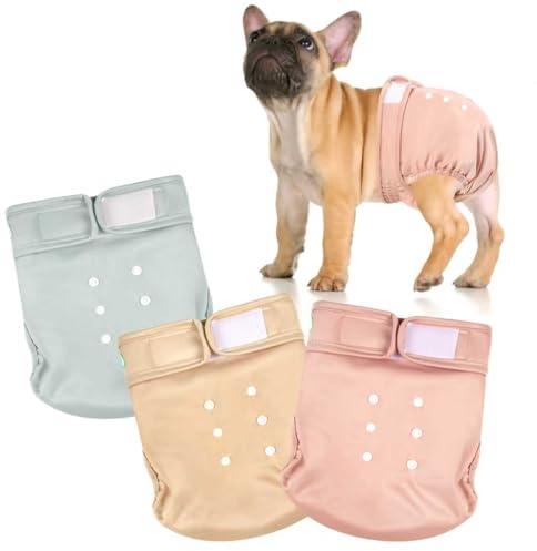 wegreeco Frenchie Dog Diapers Female No Tail Hole, Washable Pet French Puppy Bulldog Diapers Female for Period Heat, Reusable Doggy Doggie Dog Diapers (Medium