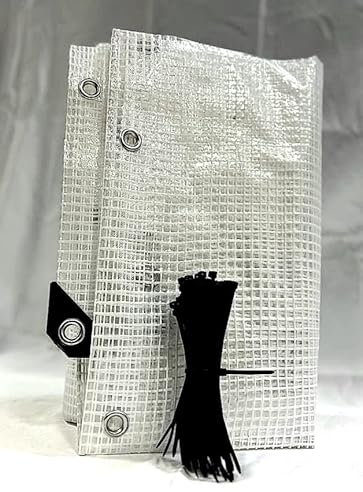 PINTO FERRAMENTA E-COMMERCE Telone Occhiellato Telo Multiuso per Esterno Impermeabile Rinforzato Trasparente Coperture Copri Legna Antipioggia Antistrappo Campeggio 100 FASCETTE OMAGGIO (2.5x3.5mt)