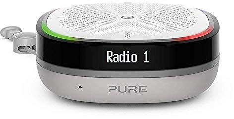 Pure StreamR Splash Outdoor DAB+/FM Smart Radio mit Alexa-Sprachsteuerung und Bluetooth (Wasserfest nach IP67, tragbar, 15 Stunden Akku, Schnellspeichertasten, AUX-in und LCD Display), Steingrau