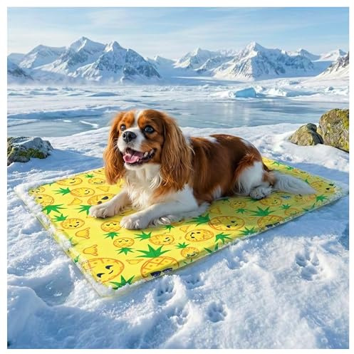 Dog Cool Mat, Dogs Self Cooling Gel Mat Pads Pet Cool Beds (Medium (50x65cm), pineapple cooling mat)