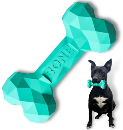 generico WONDER NOW | Gioco Cane Giocattoli Per Cani Taglia Grande E Cuccioli | Giochi Resistenti Prodotti Per Cani | Osso Gioco Per Cane Da Mordere Accessori Denti | Osso Da Masticare (Azzurro)