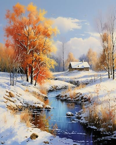 ZMHZMY Malen nach Zahlen Schneebedeckte Winterlandschaftsmalerei Painting by Numbers Kit DIY ölgemälde Kit für Erwachsene,Anfänger Painting Set 16x20 Zoll Leinwanddruck Wandkunst Dekoration