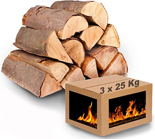 Brennholz für den Kamin Holzarten wählbar, Kammergetrocknetes Kaminholz Buche 75 Kg - 3 Kartons, Holzstück 25-33 cm
