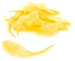 3g Hahnenkreuz Federn ca. 8-13cm (gelb 645) // Dekofedern Bastelfedern Federn Hahn Natur Schmuckfedern Vogelfedern Hahnenfedern