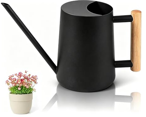 Giesskanne Zimmerpflanzen, 1000ml Gießkanne Schwarz (Schwarz) | Metall Edelstahl Gießkanne, Edelstahlgießkanne, Kleine Gießkannefür Zimmerpflanzen Bonsai Outdoor Garten Blume Deko