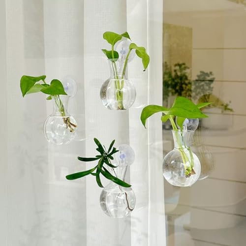 Lot de 4 Stations de bouturage pour fenêtre – Vases à bulbe en Plastique avec Ventouse – Décoration Murale pour Maison, Salon et Bureau