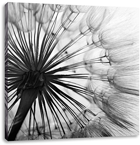 Pixxprint Schöne Pusteblume Schwarz, Schwarz, Weiß, Größe: 70x70, Leinwandbild Quadratisch, Wandbild, Kunstdruck, fertig bespannt