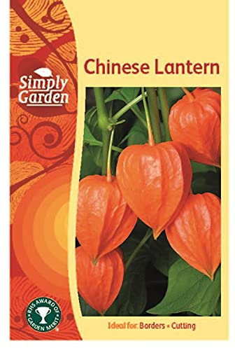 Chinese Lantern Seeds – Physalis Alkekengi Lantern Plant – Perennial Ornamental Garden Flower Seeds for Autumn Colour & Outdoor Growing
