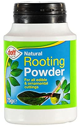 Doff Rooting Hormone Powder for Cutting Strong Roots/Help to Grow Edible Plants/Gardening for Outdoor and Indoor and Use to Prepare Organic Natural Nutrients 75g (Pack of 1)