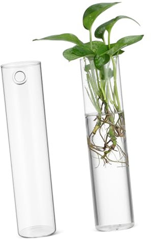 GAROZATION 2stücke Wandvase Zylinder Glas Hängende Pflanzgefäße Für Wasserpflanzen Minimalistische Wanddeko Moderner Glasblumentopf Elegante Hydroponik Vase Für Zimmer Und Büro
