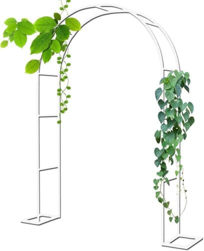 WCQSYY Arco De Jardin para Plantas Arco De Hierro Forjado para Plantas Trepadoras Arco De Rosales para Plantas Trepadoras,Blanca,W3.5M*H2.2M