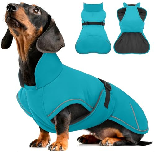 Hjyokuso Hundemantel Dackel L, Winddichter Wasserdichter Wintermantel Für Dackel Hunde, Hundejacke Für Große Hunde, Hundemantel Winter Mit Bauchschutz Leinenloch, Winterjacken Für Hunde - Marine